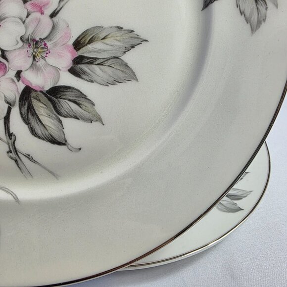 TWO Manor House Spring Glory Dinner Plates Pink & White Floral Gray Leaves - Picture 9 of 16